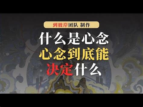 心念意思|什么是心念